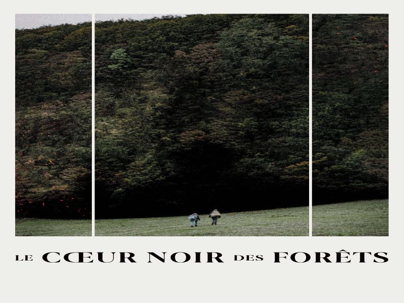 Photo 2 du film : Le Cœur Noir des Forêts
