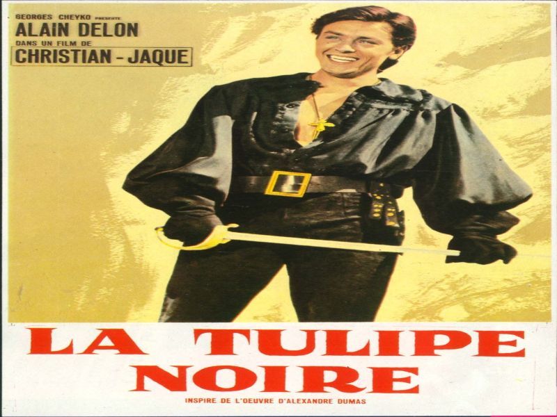 Photo 1 du film : La Tulipe noire
