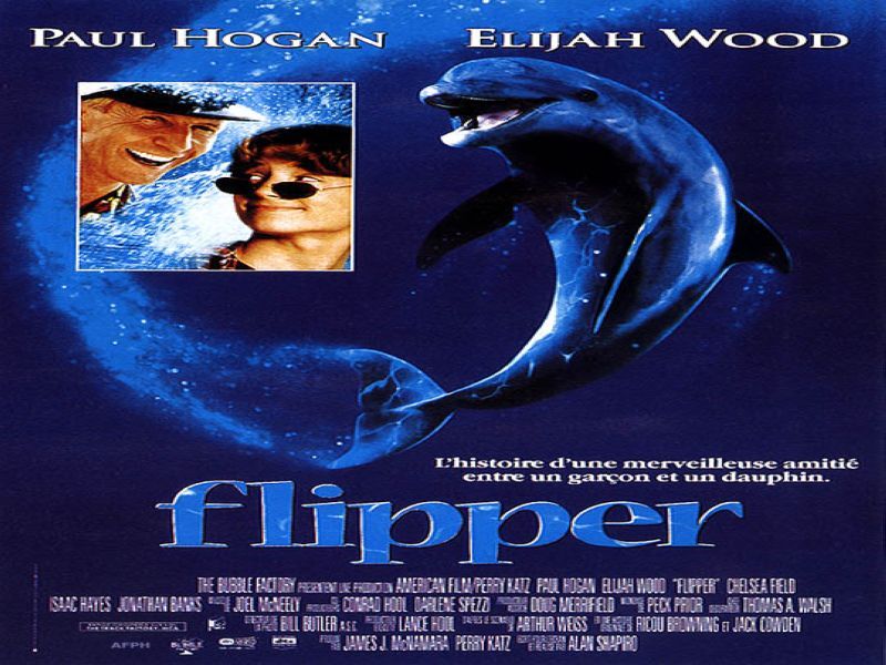 Photo 1 du film : Flipper