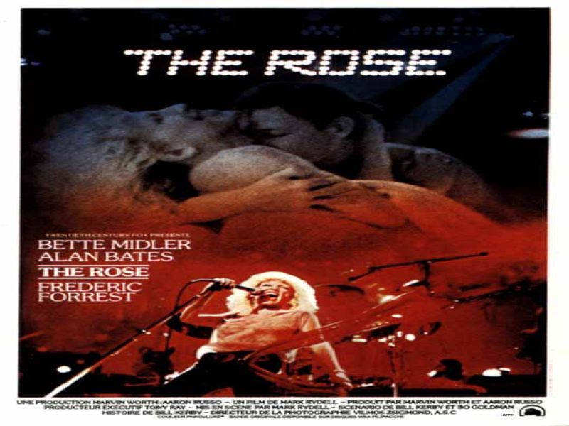 Photo 1 du film : The rose