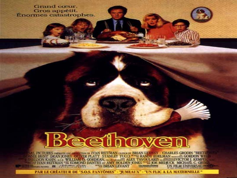 Photo 1 du film : Beethoven