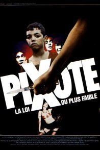 Affiche du film : Pixote, la loi du plus faible