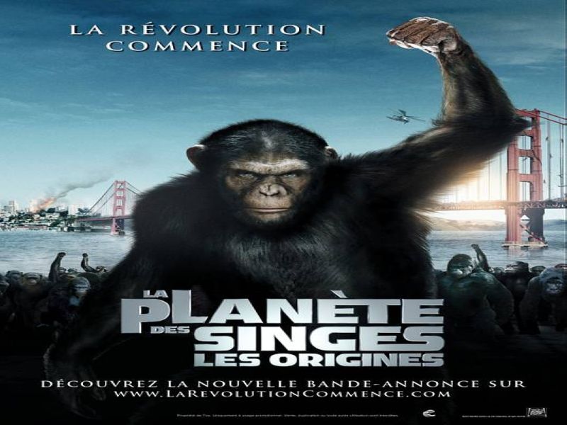 Photo 1 du film : La planète des singes : les origines 
