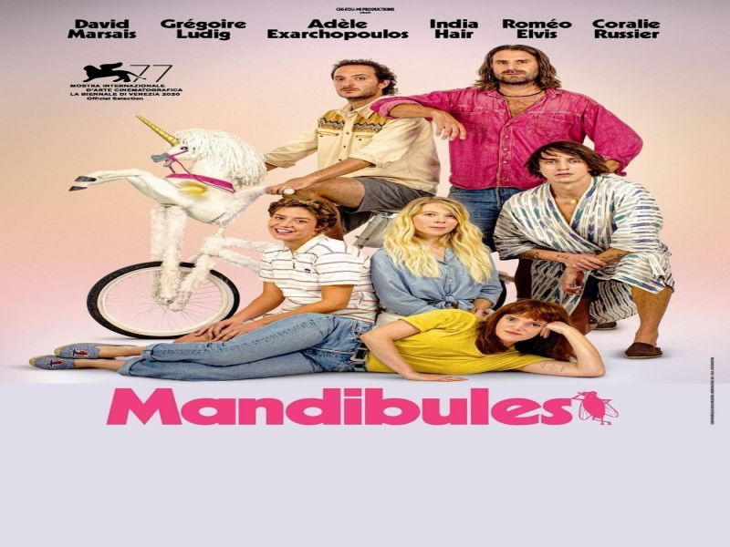 Photo 1 du film : Mandibules