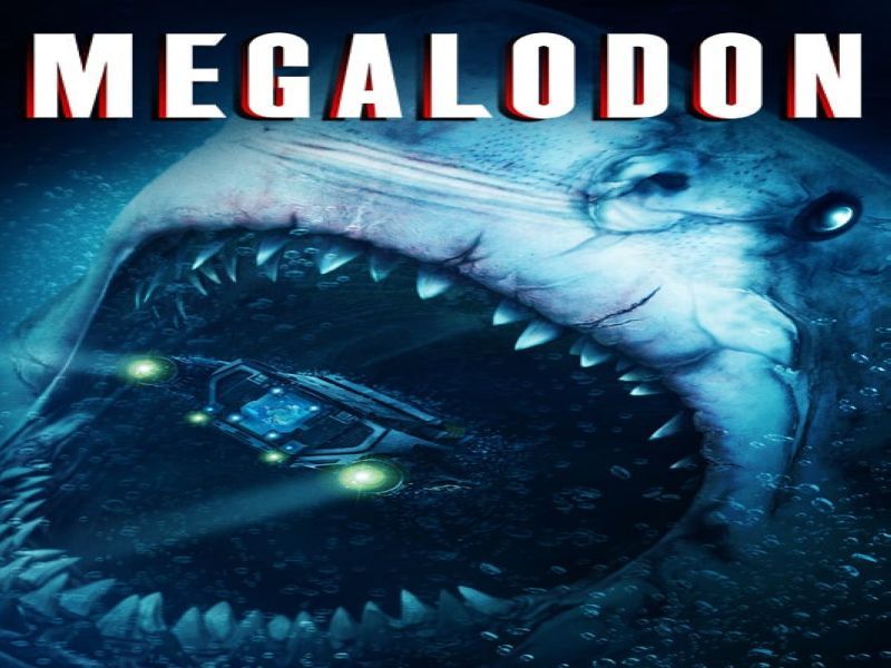 Photo 1 du film : Megalodon