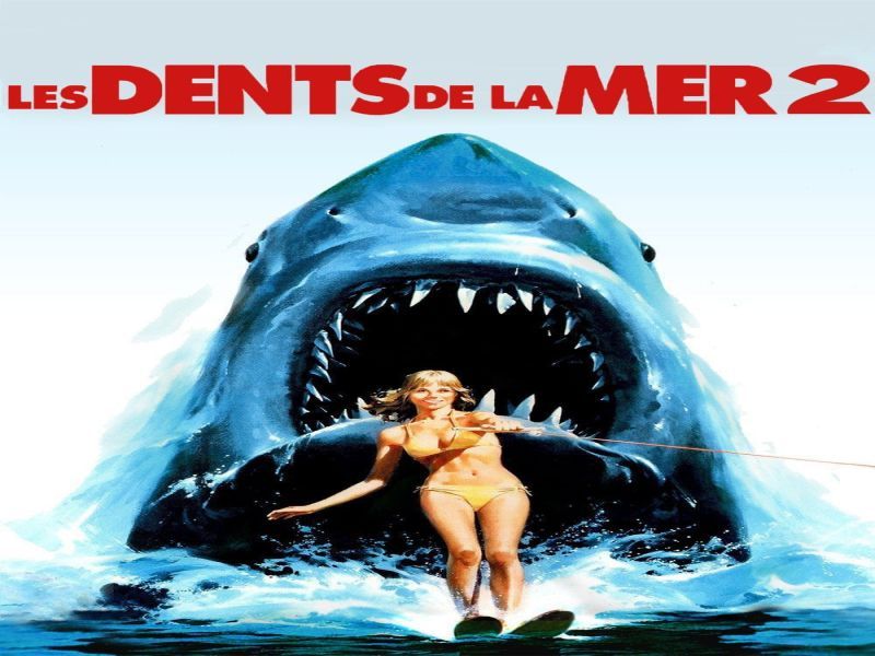 Photo 1 du film : Les Dents de la mer 2