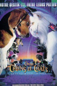 Affiche du film : Comme chiens et chats