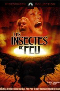 Affiche du film : Les insectes de feu