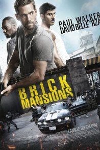 Affiche du film : Brick Mansions