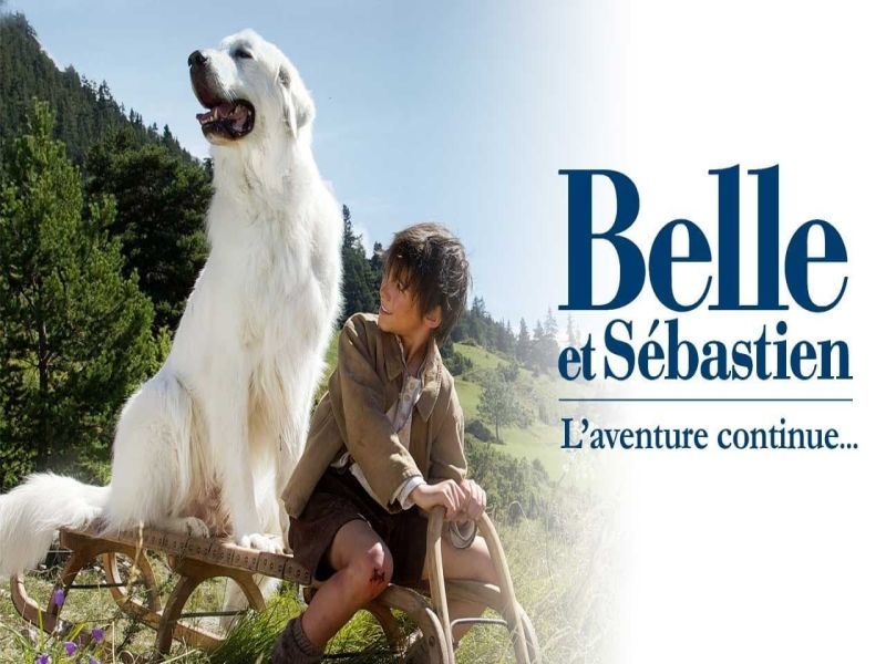 Photo 1 du film : Belle et Sébastien : l